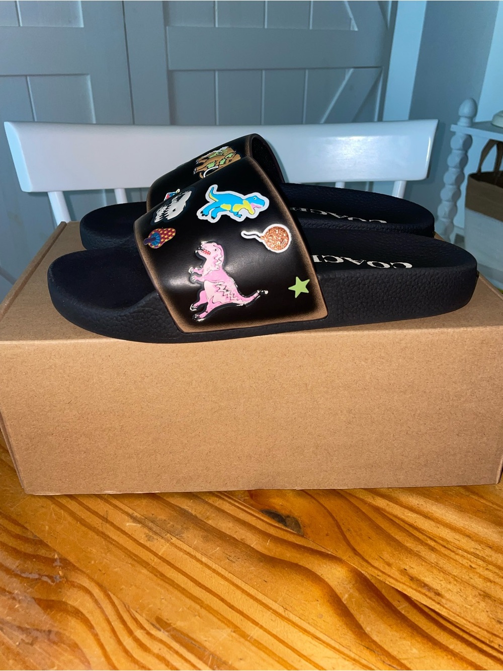 Coach Rexy 10th Anniversary Birthday Pool Slide In Black CEG78 SZ Mens 12 NWB